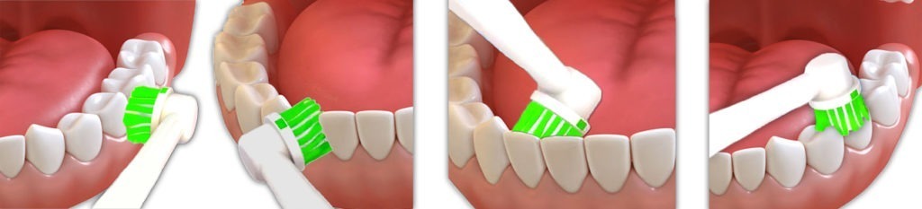 Manual-higiene-dental-ibiza-doctor-rull-cepillado