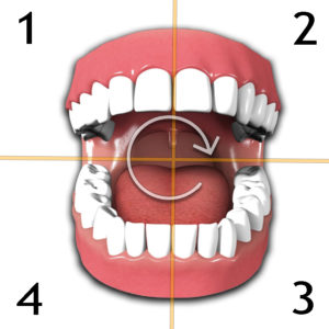 Manual-higiene-dental-ibiza-doctor-rull-boca
